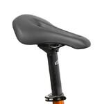 Велосипед STINGER 29" GRADIENT STD золотой, алюминий, размер MD